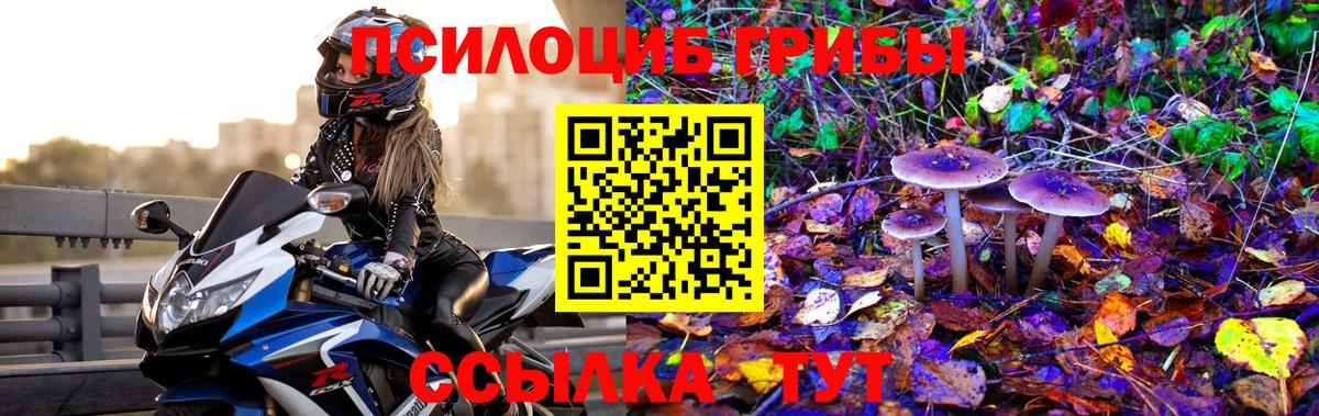 Сердобск  Псилоцибиновые грибы GOLDEN TEACHER  Псилоцибиновые грибы мухоморы  Вход с VPN 